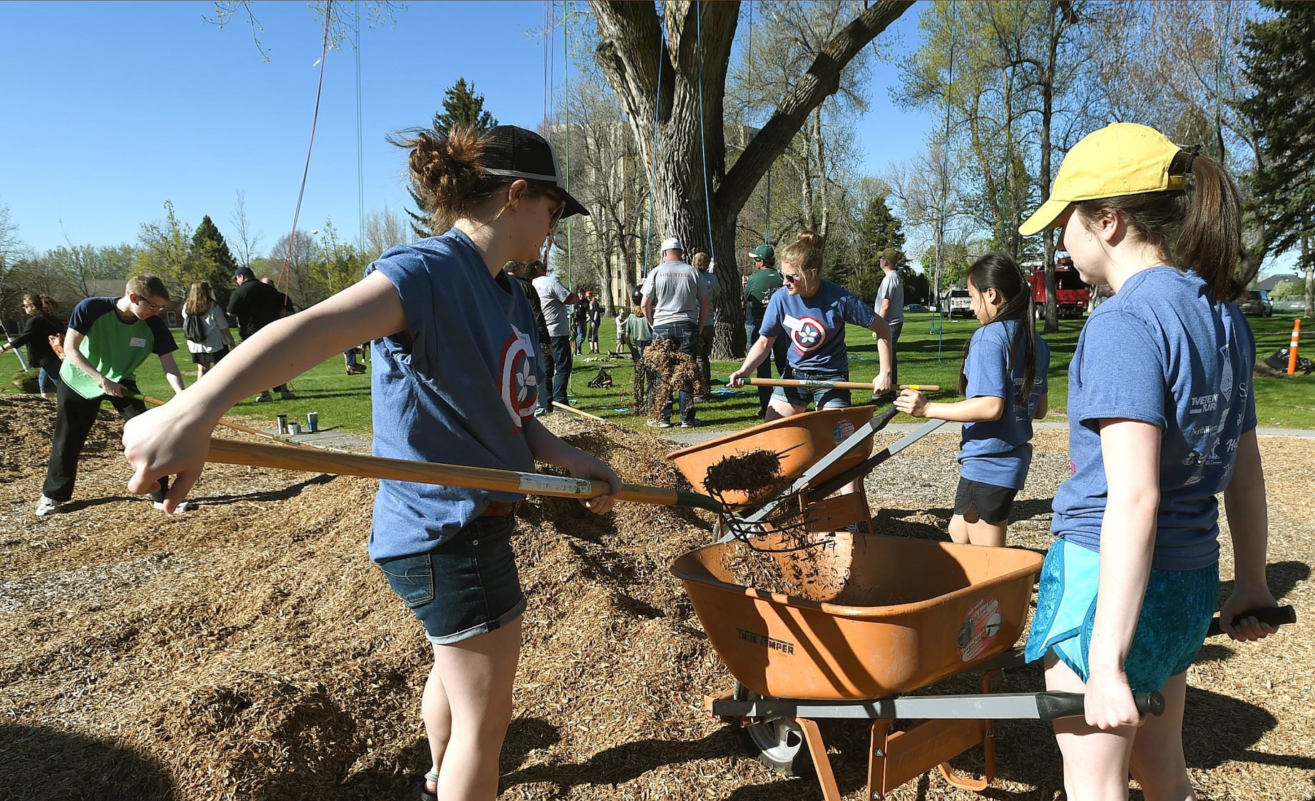 Arbor Day playground